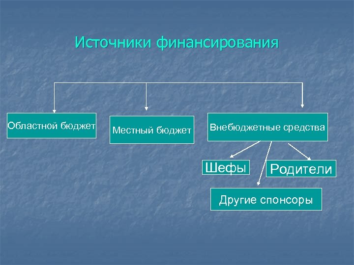 Источники финансирования Областной бюджет Местный бюджет Внебюджетные средства Шефы Родители Другие спонсоры 