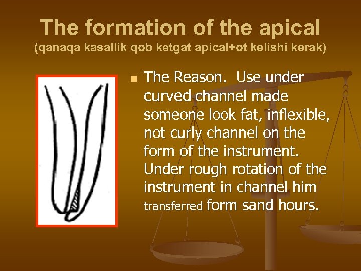 The formation of the apical (qanaqa kasallik qob ketgat apical+ot kelishi kerak) n The