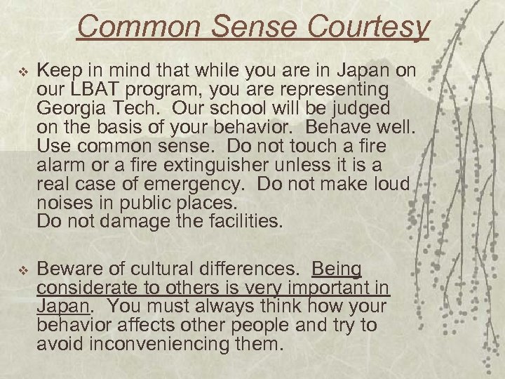 Common Sense Courtesy v Keep in mind that while you are in Japan on