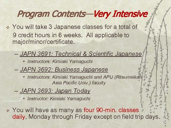 Program Contents—Very Intensive v You will take 3 Japanese classes for a total of