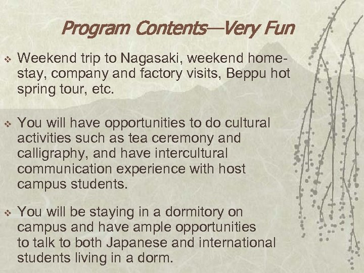 Program Contents—Very Fun v Weekend trip to Nagasaki, weekend homestay, company and factory visits,