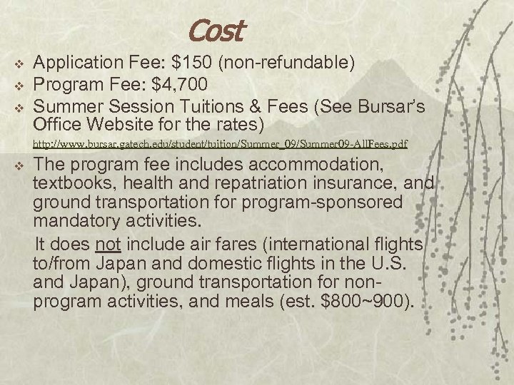 Cost v v v Application Fee: $150 (non-refundable) Program Fee: $4, 700 Summer Session