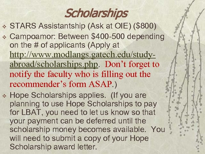 Scholarships v v STARS Assistantship (Ask at OIE) ($800) Campoamor: Between $400 -500 depending