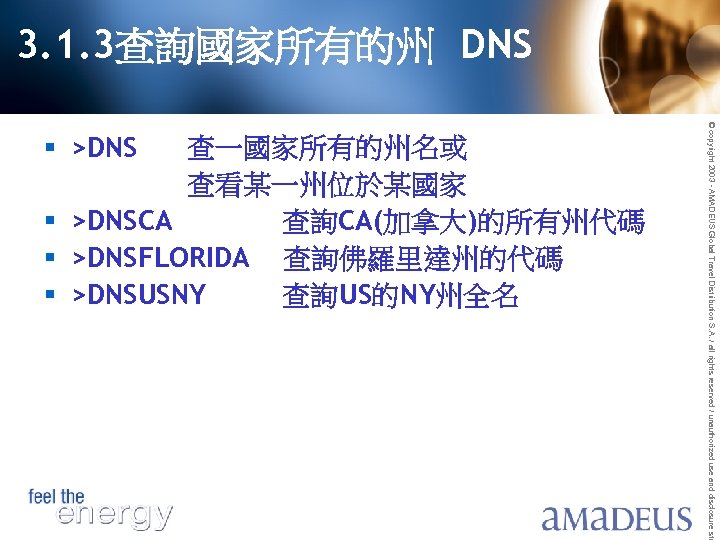 3. 1. 3查詢國家所有的州 DNS © copyright 2003 - AMADEUS Global Travel Distribution S. A.