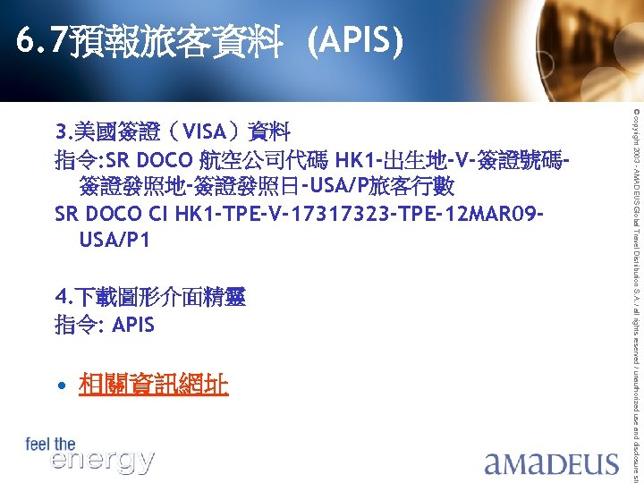 6. 7預報旅客資料 (APIS) 4. 下載圖形介面精靈 指令: APIS • 相關資訊網址 © copyright 2003 - AMADEUS