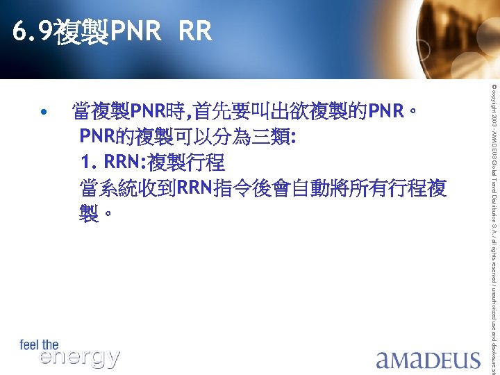 6. 9複製PNR RR © copyright 2003 - AMADEUS Global Travel Distribution S. A. /