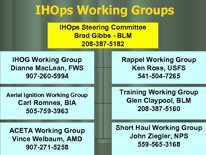 IHOps Working Groups IHOps Steering Committee Brad Gibbs - BLM 208 -387 -5182 IHOG