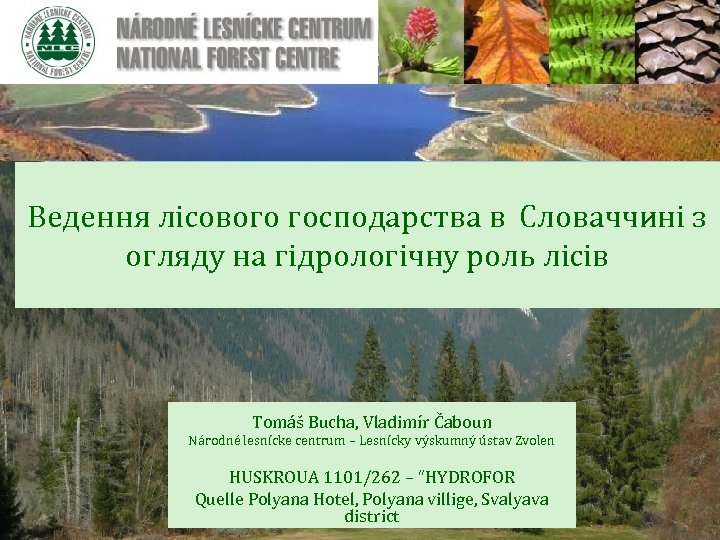 Ведення лісового господарства в Словаччині з огляду на гідрологічну роль лісів Tomáš Bucha, Vladimír