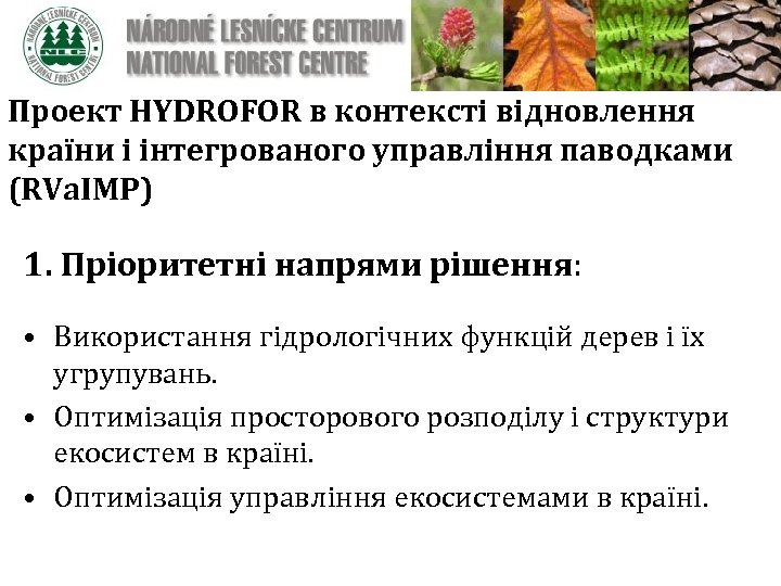 Проект HYDROFOR в контексті відновлення країни і інтегрованого управління паводками (RVa. IMP) 1. Пріоритетні