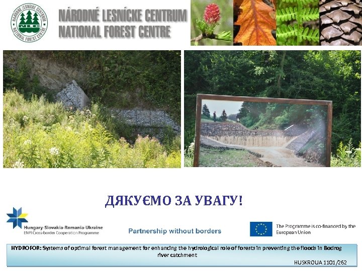 ДЯКУЄМО ЗА УВАГУ! HYDROFOR: Systems of optimal forest management for enhancing the hydrological role