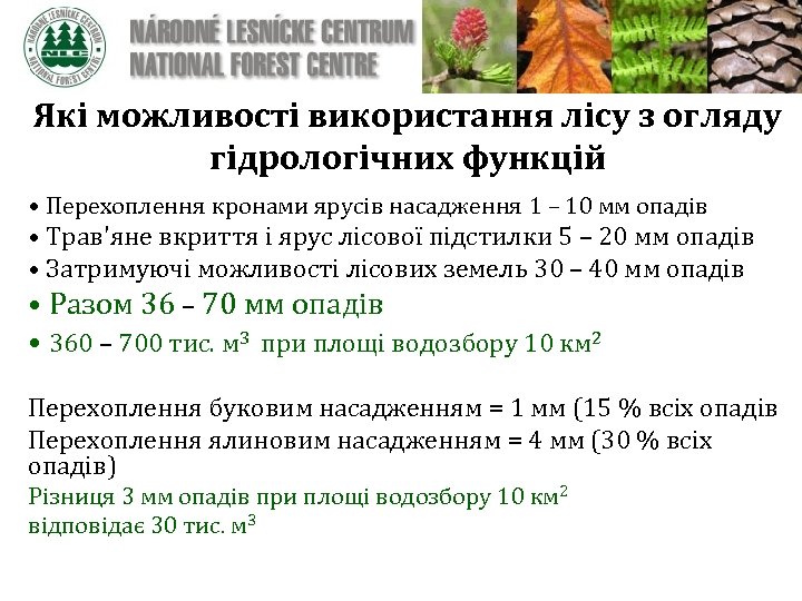 Які можливості використання лісу з огляду гідрологічних функцій • Перехоплення кронами ярусів насадження 1