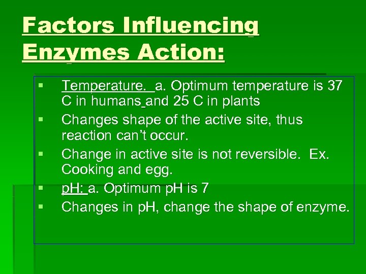 Factors Influencing Enzymes Action: § § § Temperature. a. Optimum temperature is 37 C