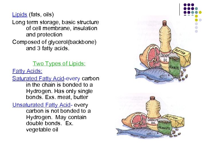 Lipids (fats, oils) Long term storage, basic structure of cell membrane, insulation and protection