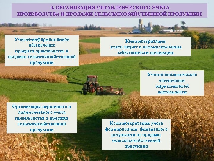 Продаже хозяйства. Организация производства сельскохозяйственной продукции. Эффективность сельского хозяйства. Эффективность производства сельскохозяйственной продукции. Организация реализации сельскохозяйственной продукции.