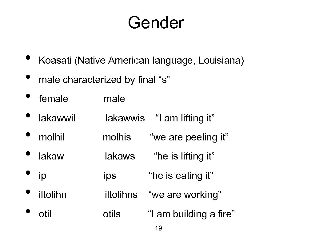 Gender • • • Koasati (Native American language, Louisiana) male characterized by final “s”