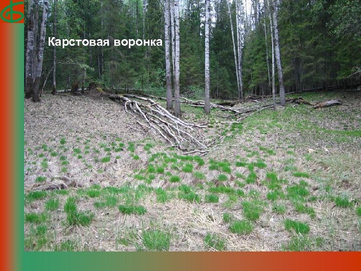 Карстовая воронка 