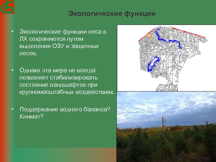 Функции леса. Экологические функции леса. Экологические функции леса схема. Экологическая роль леса. Каковы экологические функции леса?.