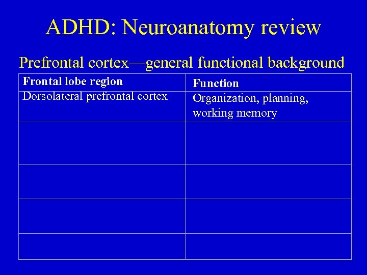 ADHD: Neuroanatomy review Prefrontal cortex—general functional background Frontal lobe region Dorsolateral prefrontal cortex Function
