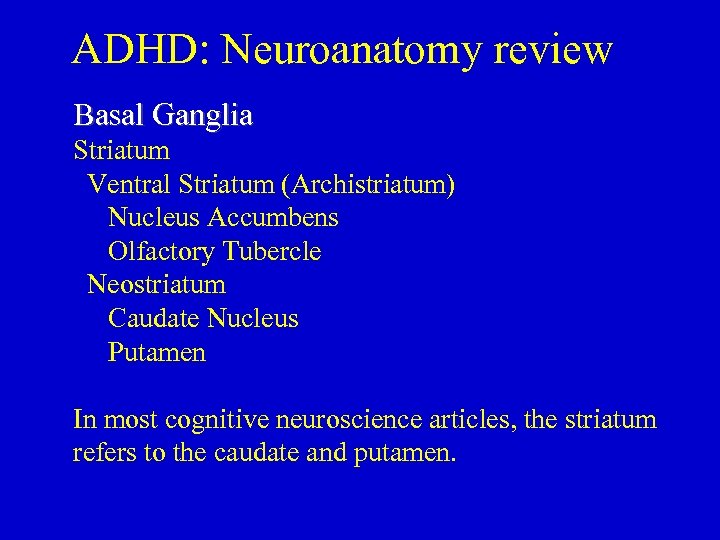 ADHD: Neuroanatomy review Basal Ganglia Striatum Ventral Striatum (Archistriatum) Nucleus Accumbens Olfactory Tubercle Neostriatum