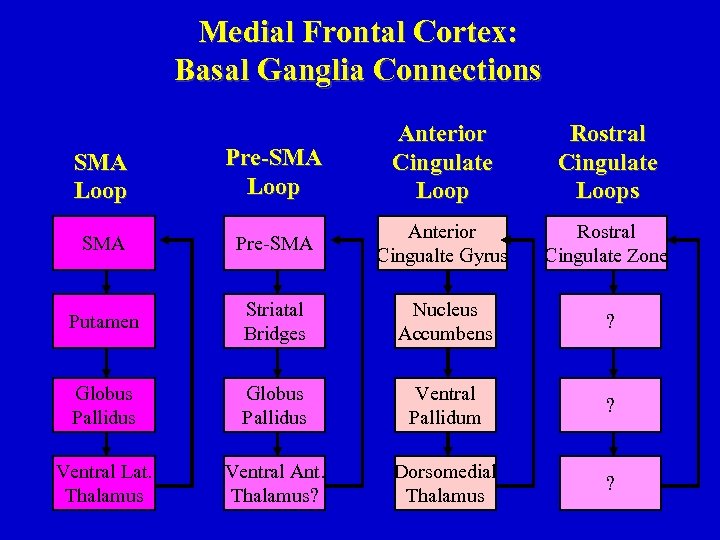 Medial Frontal Cortex: Basal Ganglia Connections SMA Loop Pre-SMA Loop Anterior Cingulate Loop Rostral