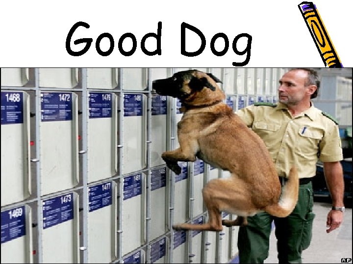 Good Dog 
