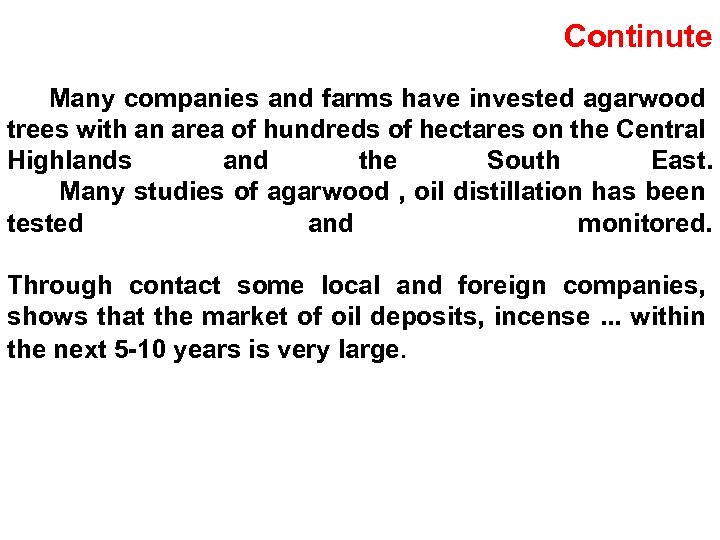 Continute Many companies and farms have invested agarwood trees with an area of hundreds