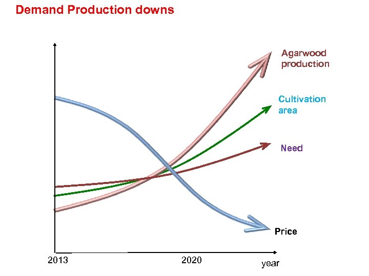 Demand Production downs Agarwood production Cultivation area Need Price 2013 2020 year 