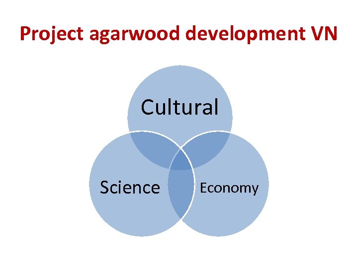 Project agarwood development VN Cultural Science Economy 