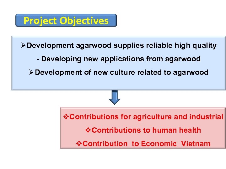 Project Objectives ØDevelopment agarwood supplies reliable high quality - Developing new applications from agarwood