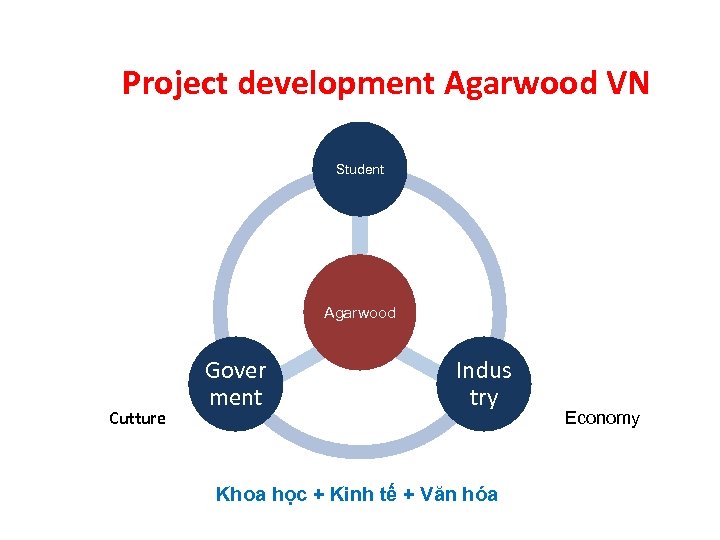 Project development Agarwood VN Student Agarwood Cutture Gover ment Indus try Khoa học +