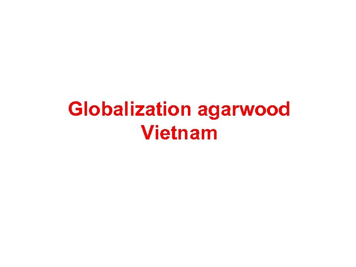 Globalization agarwood Vietnam 