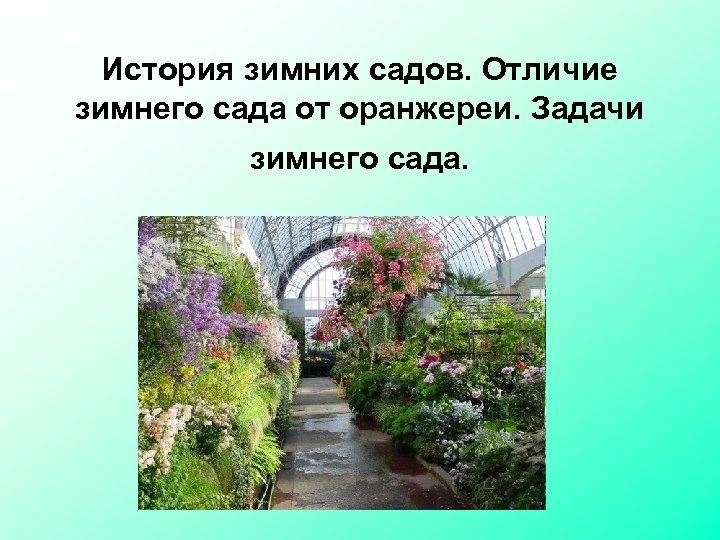 История зимних садов. Отличие зимнего сада от оранжереи. Задачи зимнего сада. 1 