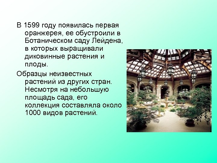В 1599 году появилась первая оранжерея, ее обустроили в Ботаническом саду Лейдена, в которых