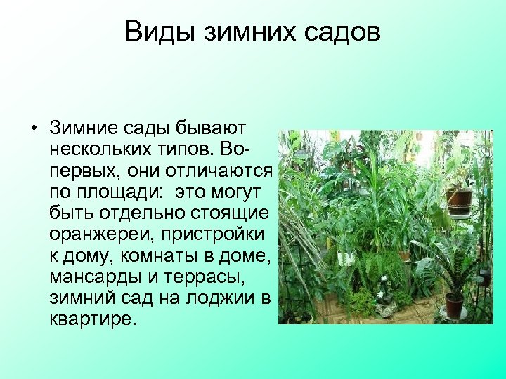 Виды зимних садов • Зимние сады бывают нескольких типов. Вопервых, они отличаются по площади: