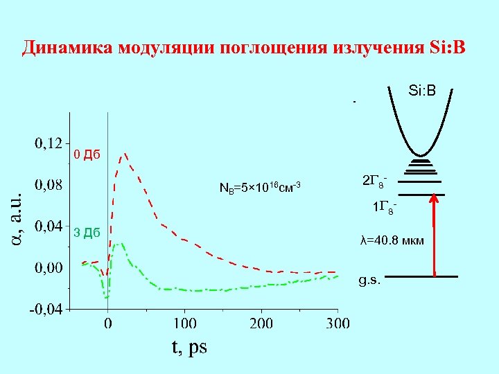 Динамика модуляции поглощения излучения Si: B 0 Дб NB=5× 1016 см-3 3 Дб 2