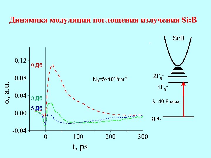 Динамика модуляции поглощения излучения Si: B 0 Дб NB=5× 1016 см-3 3 Дб 2