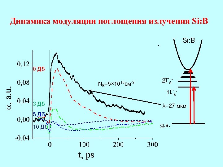 Динамика модуляции поглощения излучения Si: B 0 Дб NB=5× 1016 см-3 3 Дб 2