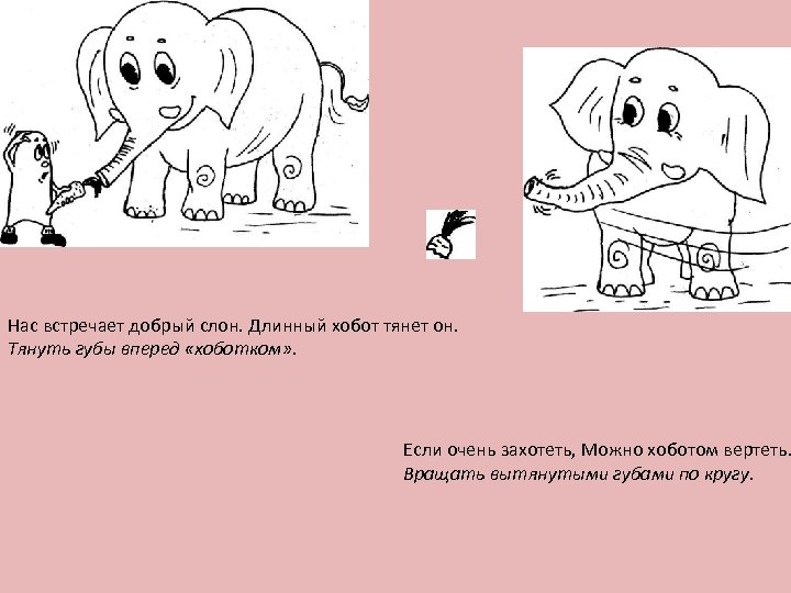 Нас встречает добрый слон. Длинный хобот тянет он. Тянуть губы вперед «хоботком» . Если
