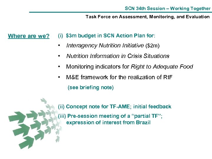SCN 34 th Session – Working Together Task Force on Assessment, Monitoring, and Evaluation