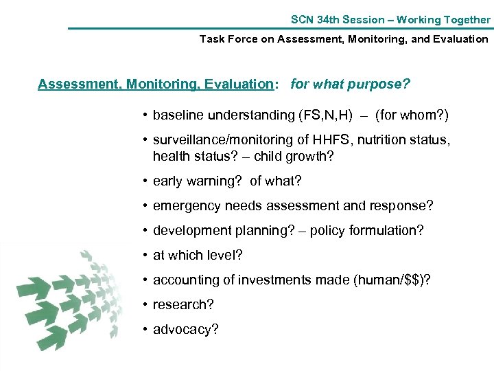SCN 34 th Session – Working Together Task Force on Assessment, Monitoring, and Evaluation