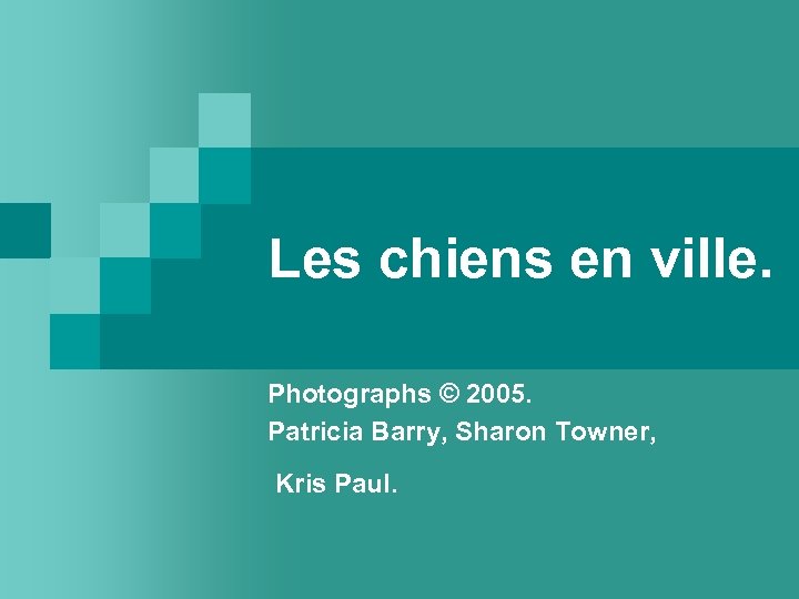 Les chiens en ville. Photographs © 2005. Patricia Barry, Sharon Towner, Kris Paul. 