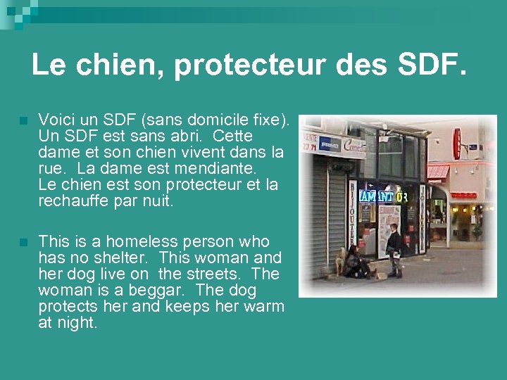 Le chien, protecteur des SDF. n Voici un SDF (sans domicile fixe). Un SDF