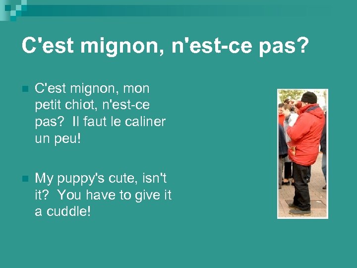 C'est mignon, n'est-ce pas? n C'est mignon, mon petit chiot, n'est-ce pas? Il faut