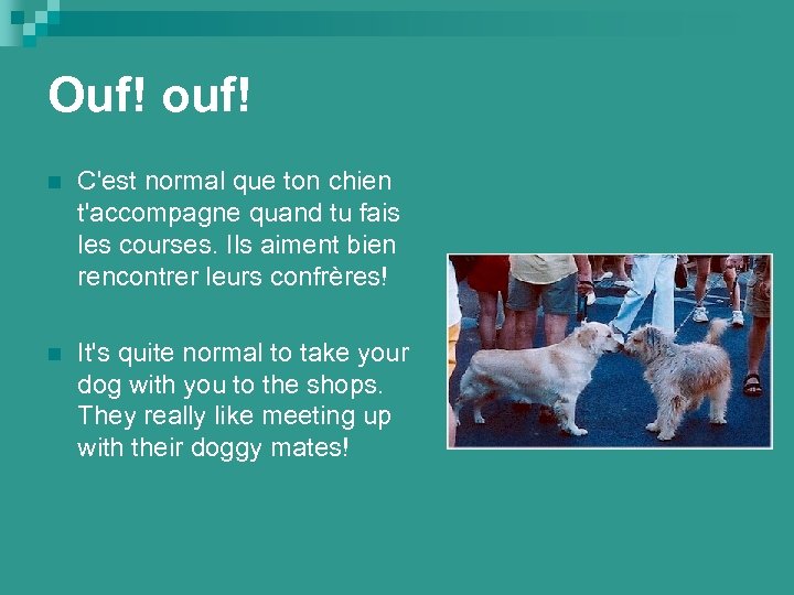 Ouf! ouf! n C'est normal que ton chien t'accompagne quand tu fais les courses.