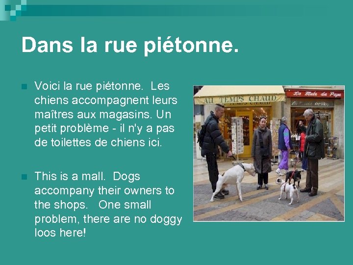 Dans la rue piétonne. n Voici la rue piétonne. Les chiens accompagnent leurs maîtres