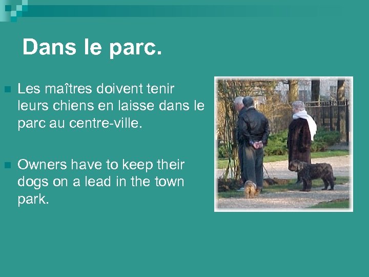 Dans le parc. n Les maîtres doivent tenir leurs chiens en laisse dans le