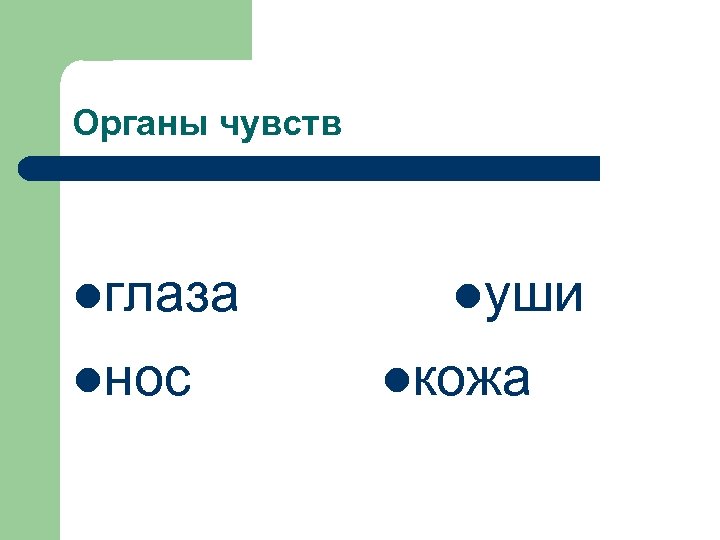 Органы чувств lглаза lнос lуши lкожа 