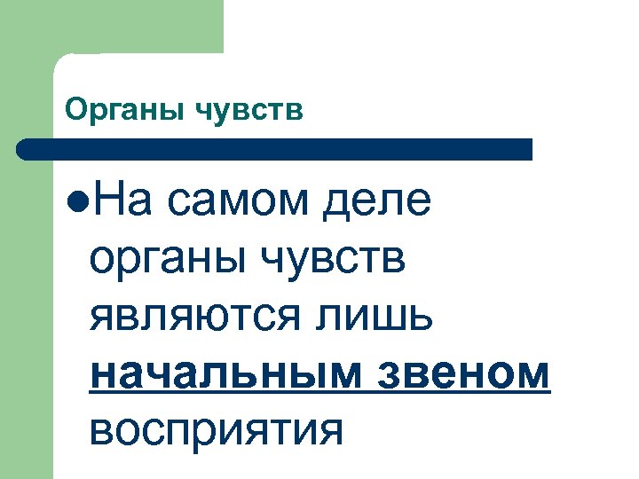 Органы чувств l. На самом деле органы чувств являются лишь начальным звеном восприятия 