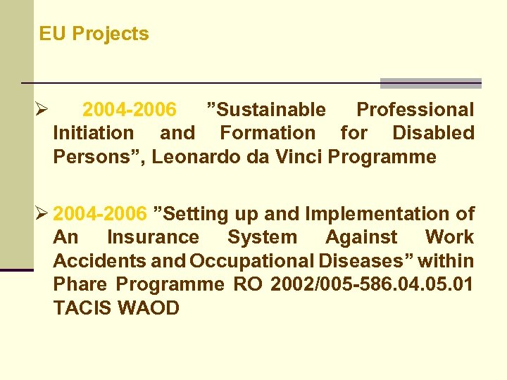 EU Projects Ø 2004 -2006 ”Sustainable Professional Initiation and Formation for Disabled Persons”, Leonardo