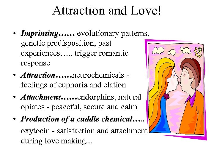 Attraction and Love! • Imprinting…… evolutionary patterns, genetic predisposition, past experiences…. . trigger romantic